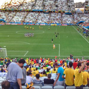 Imagem parcial da torcida na arquibancada de frente para o gramado de futebol, no período da copa do mundo 2014, são Paulo capital.